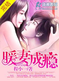 暖妻成瘾顾以城