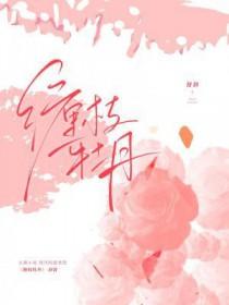 缠枝牡丹耐寒多少度