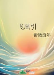 飞凰引完结了吗