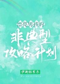 漂亮男孩儿的非典型攻略