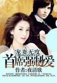 首席宠妻甜蜜蜜